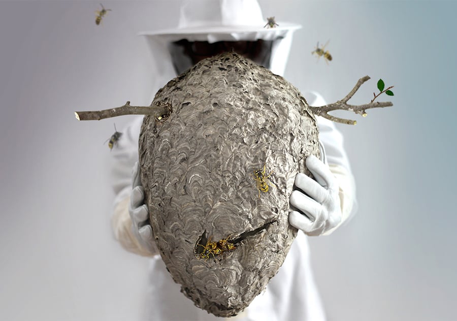 Black Sheep Nike SB Dunk High Black Hornet Release Date