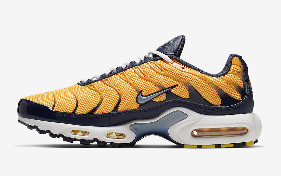 Nike Air Max Plus AJ2013-800 Release Date