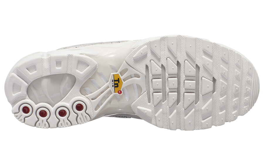 Nike Air Max Plus AR0970-002 Release Date