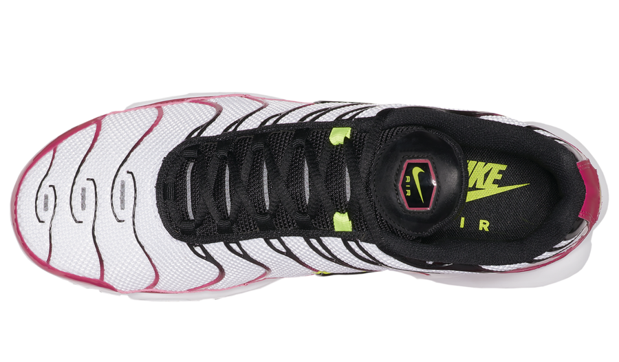 Nike Air Max Plus CJ9929-100 Release Date