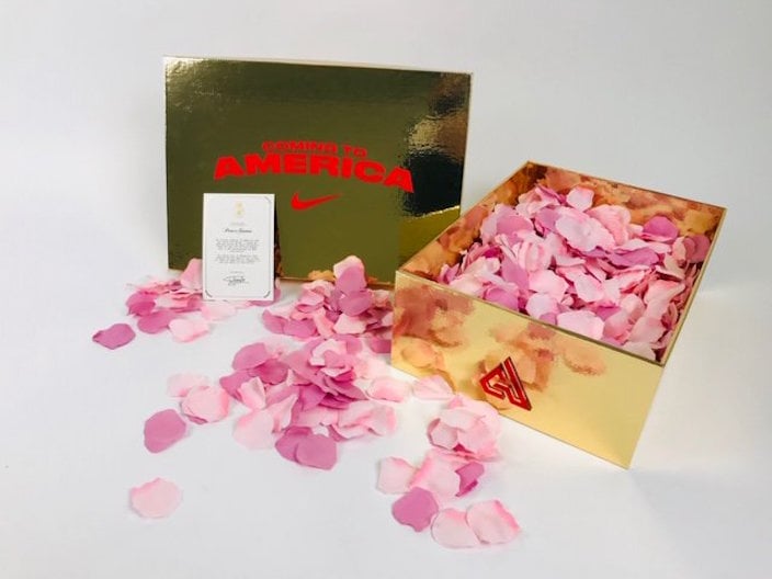 Nike Zoom Freak 1 Coming to America BQ5422-900 Release Date Info