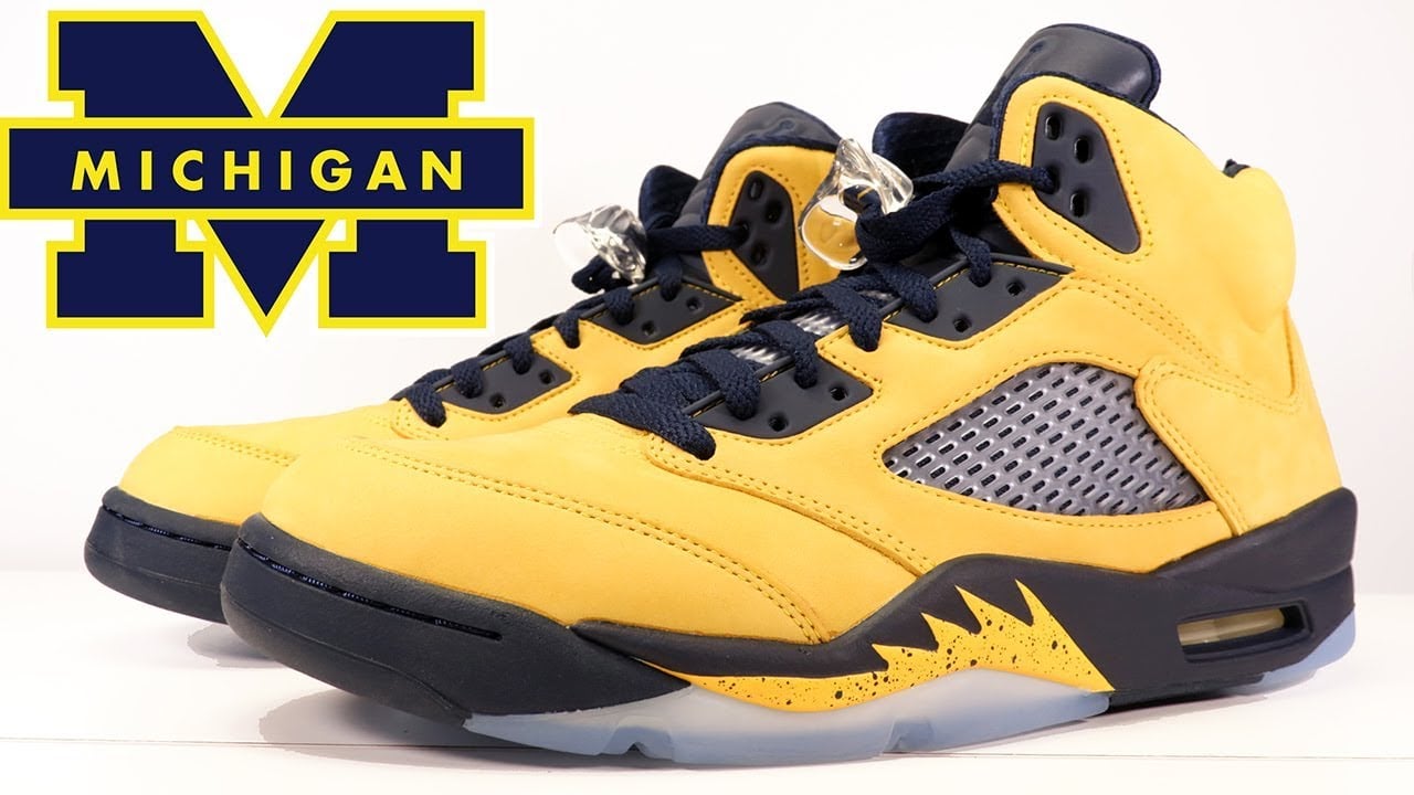Air Jordan 5 Michigan 2019