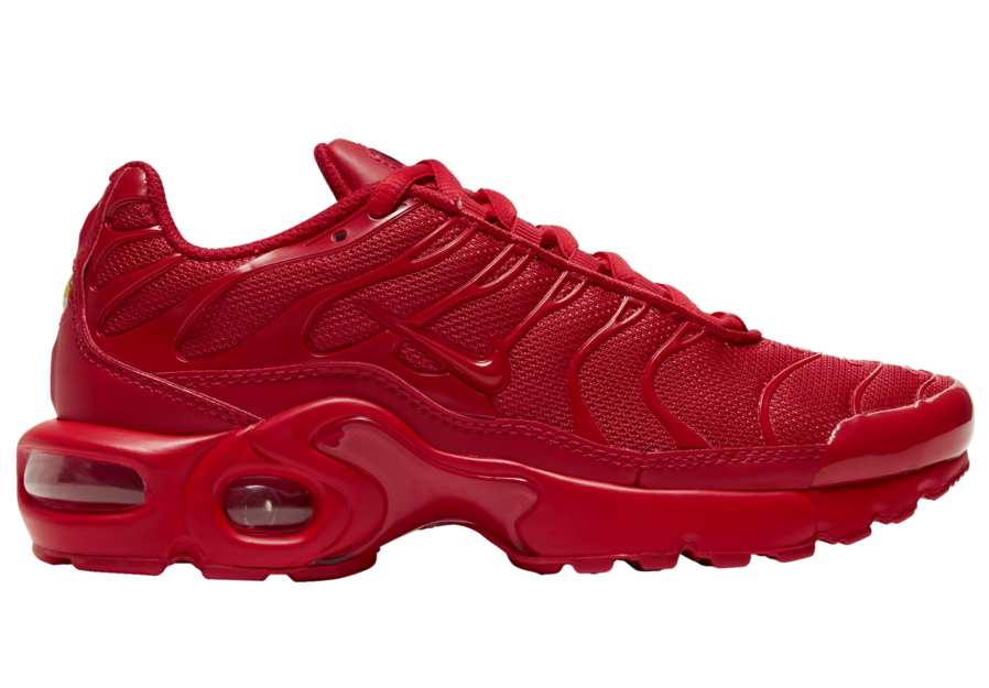 Nike Air Max Plus Triple Red CQ9748-600 