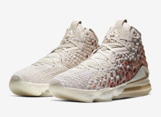 lebron 17s i promise