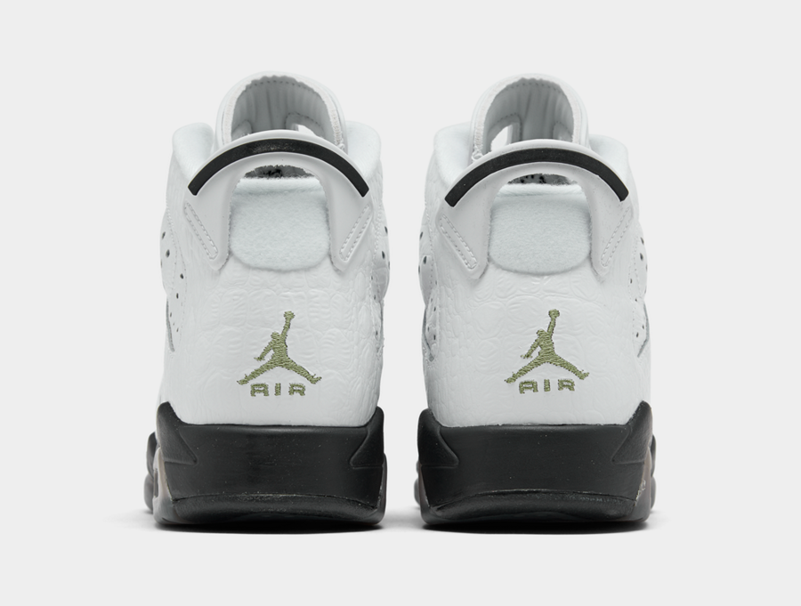 Air Jordan 6 GS Alligator 384665-110 Release Date