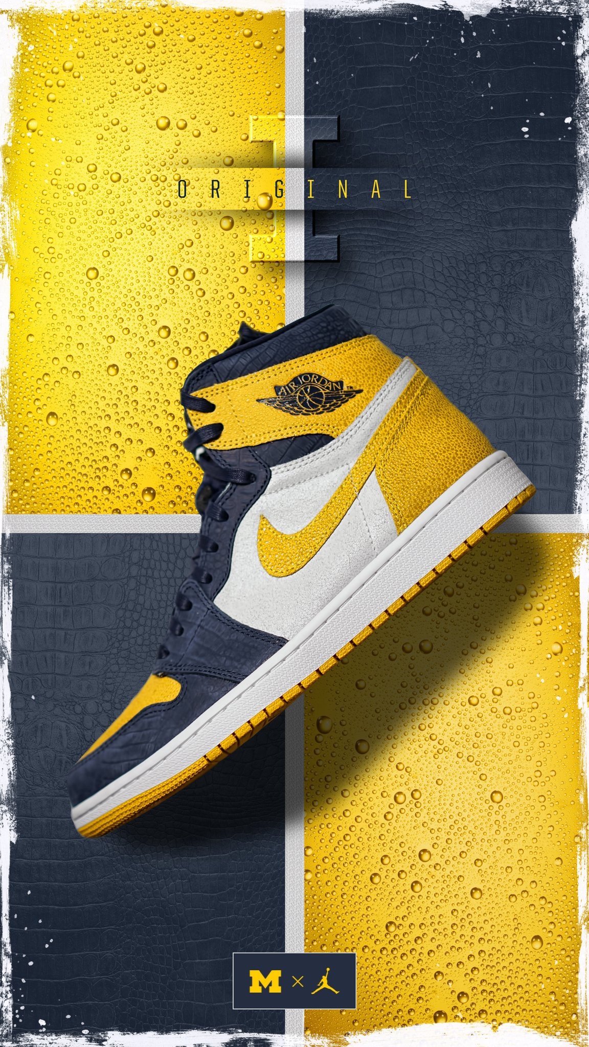 Air Jordan 1 Michigan PE