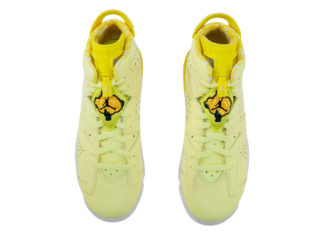 air jordan 6 floral