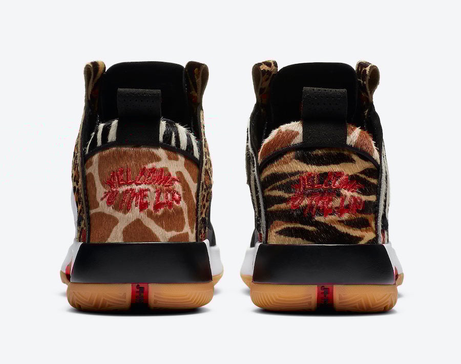 Jayson Tatum Air Jordan 34 Welcome to the Zoo PE DA1900-900 Release Date Info