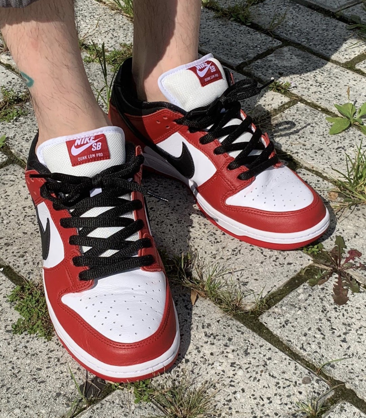 nike sb dunk chicago release