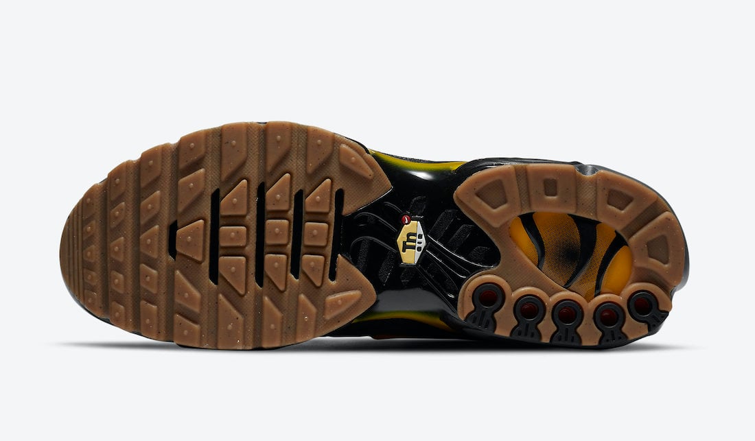 Nike Air Max Plus Fresh Perspective DC7392-300 Release Date Info