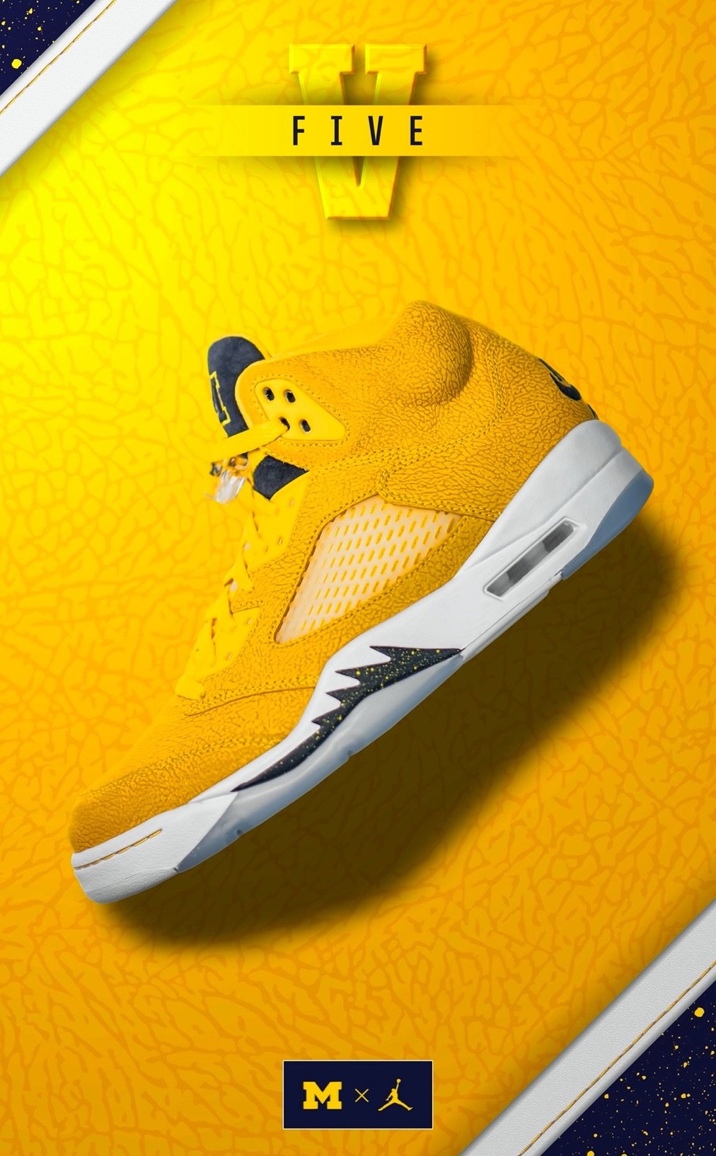 Air Jordan 5 Michigan Wolverines PE