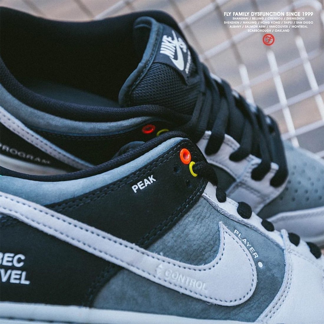 Nike SB Dunk Low Camcorder Release Date Info