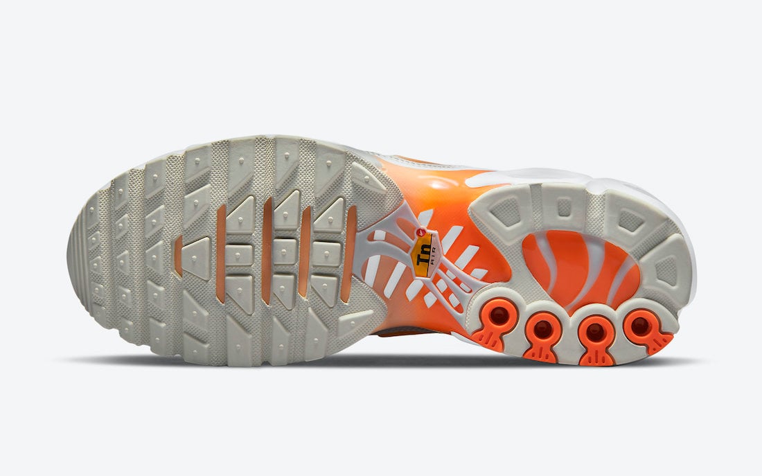 Nike Air Max Plus DM3033-100 Release Date Info