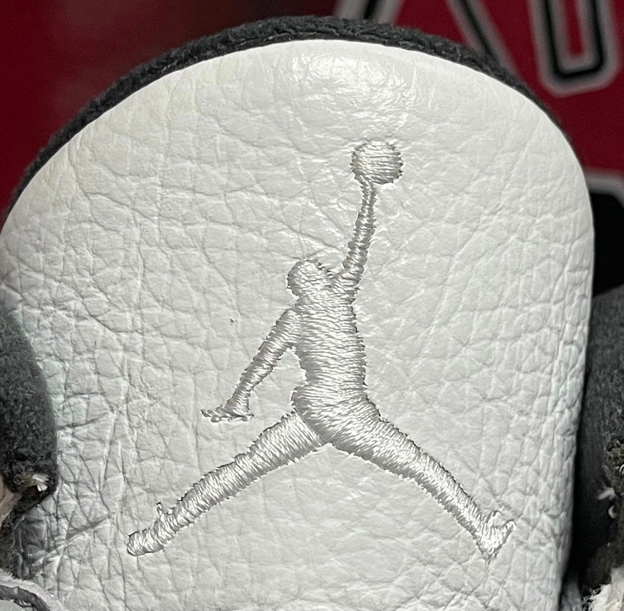 Air Jordan 3 Eminem Sample 2012