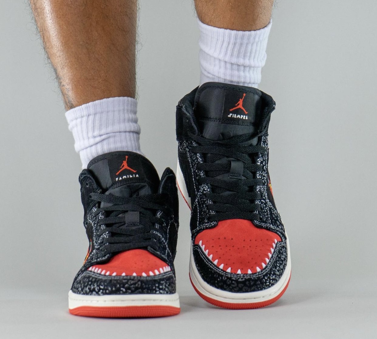 Air Jordan 1 Siempre Familia DN4904-001 On-Feet