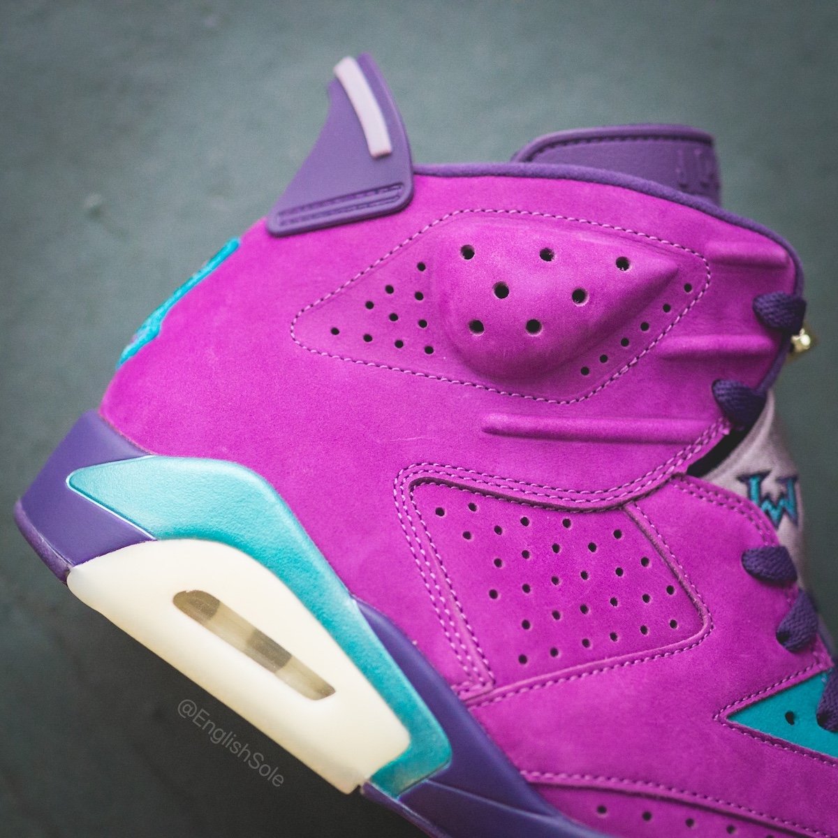 Air Jordan 6 Purple Fraternity PE 2021