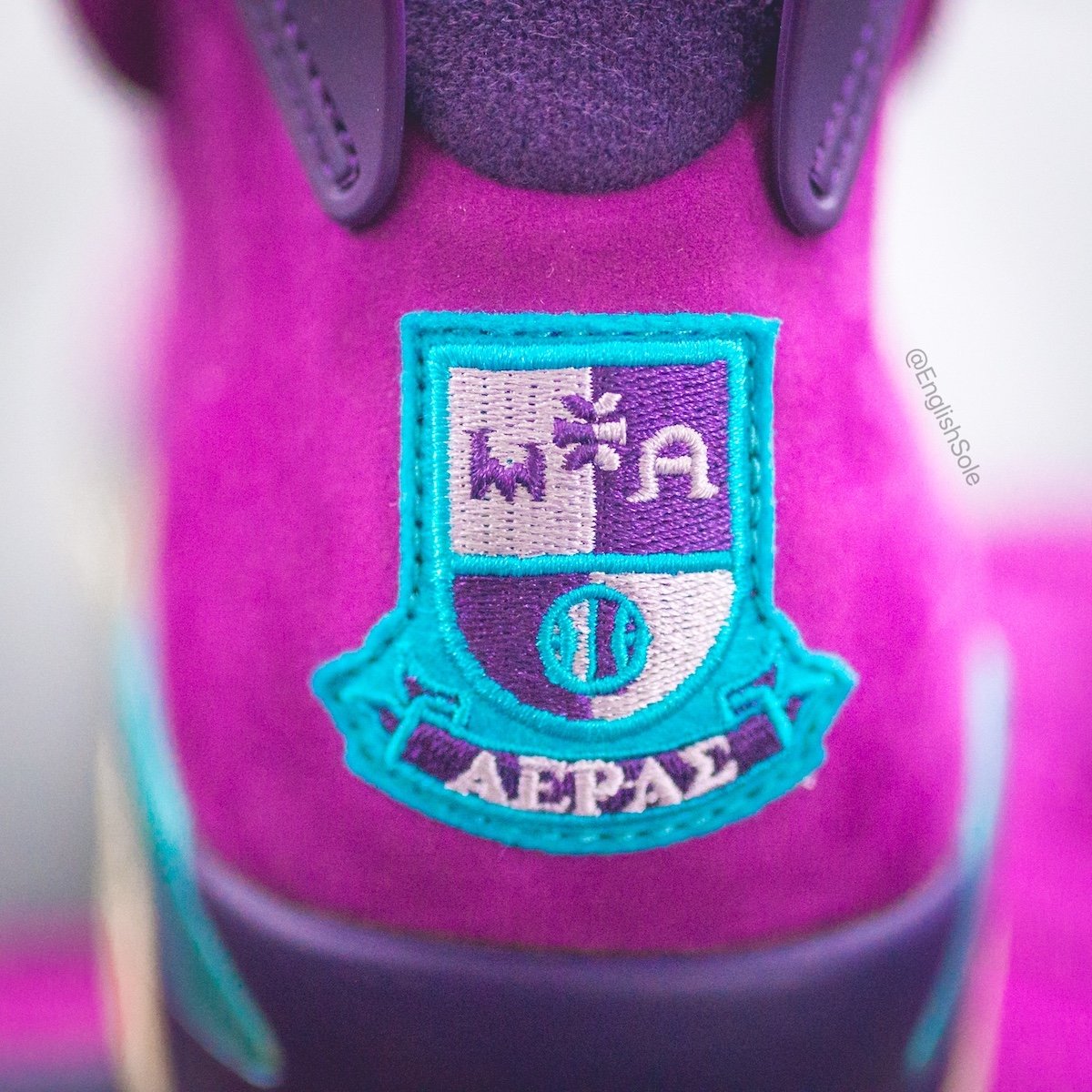 Air Jordan 6 Purple Fraternity PE 2021