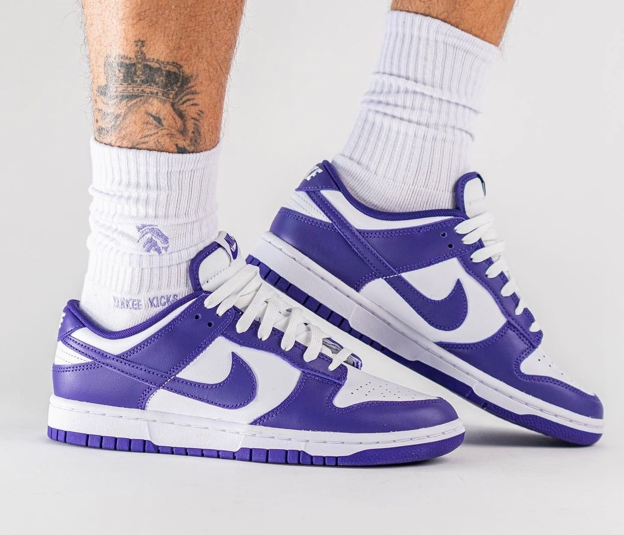 Court Purple Nike Dunk Low DD1391-104 On-Feet