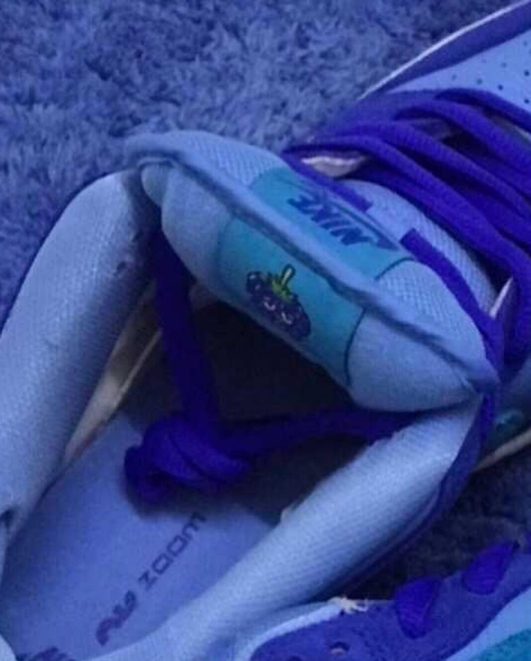 Nike SB Dunk Low Blue Raspberry DM0807400 Release Date Info SneakerFiles