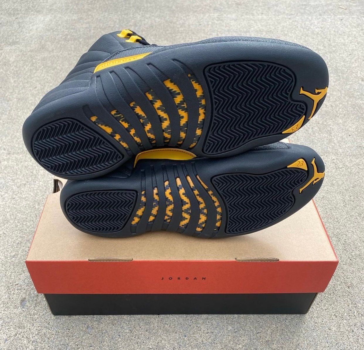 Air Jordan 12 Black Taxi CT8013-071 Release Date