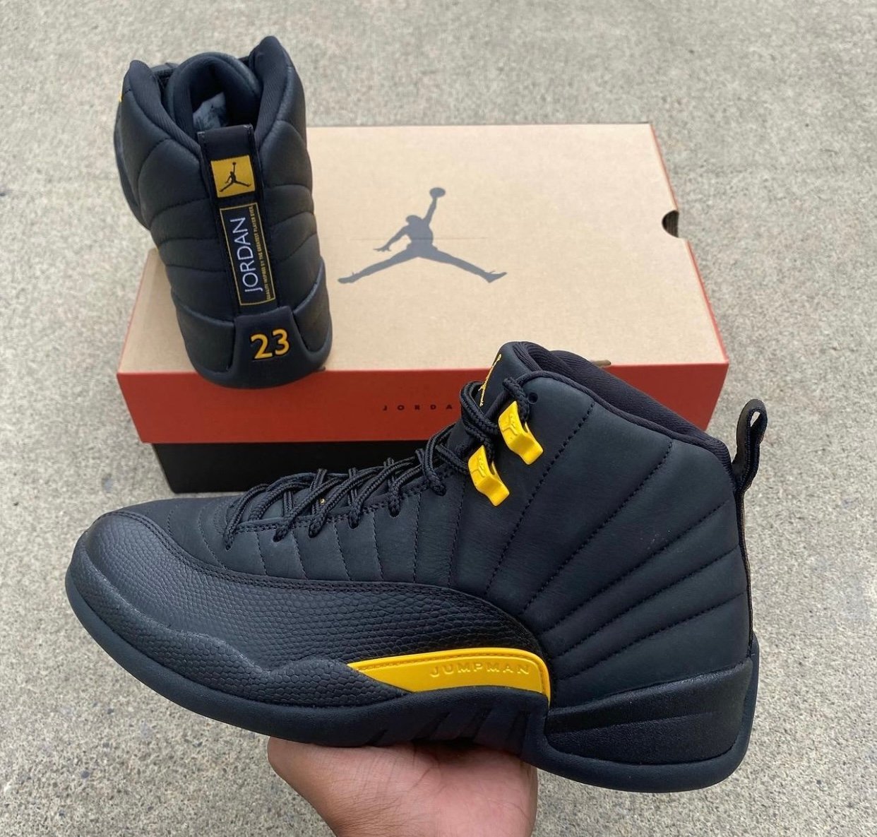 Air Jordan 12 Black Taxi CT8013-071 Release Date