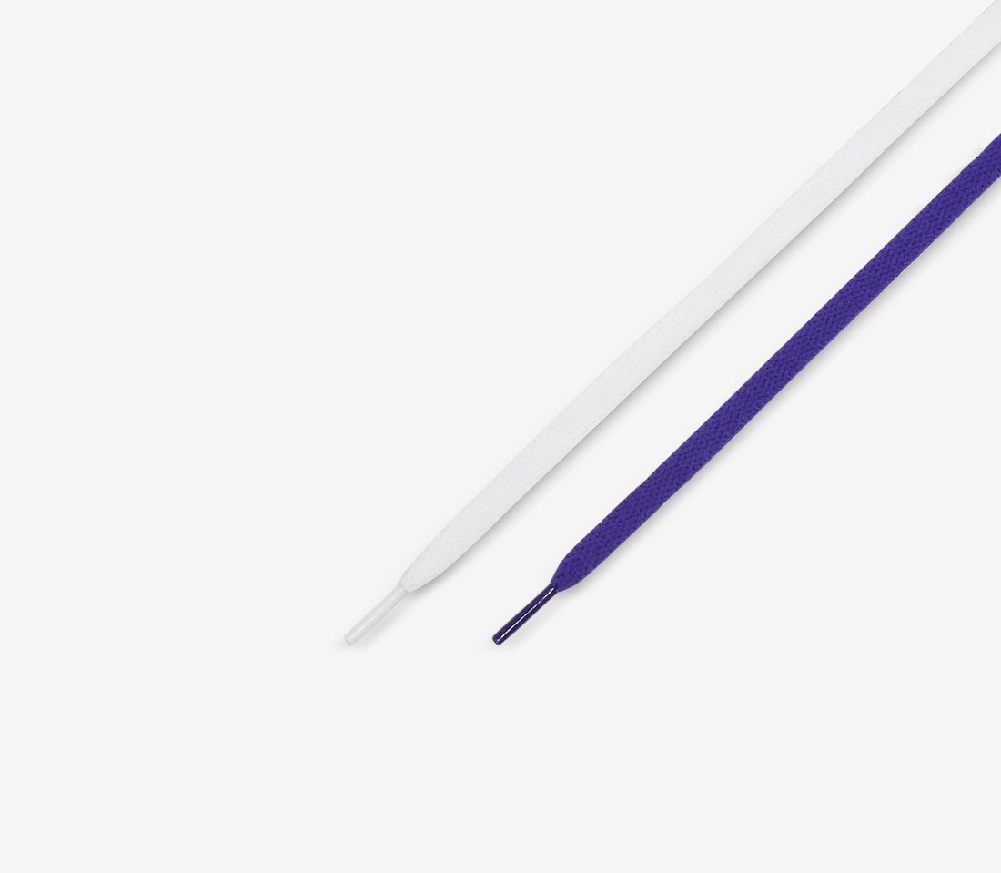 Union Nike Dunk Low Court Purple DJ9649-500 Release Date