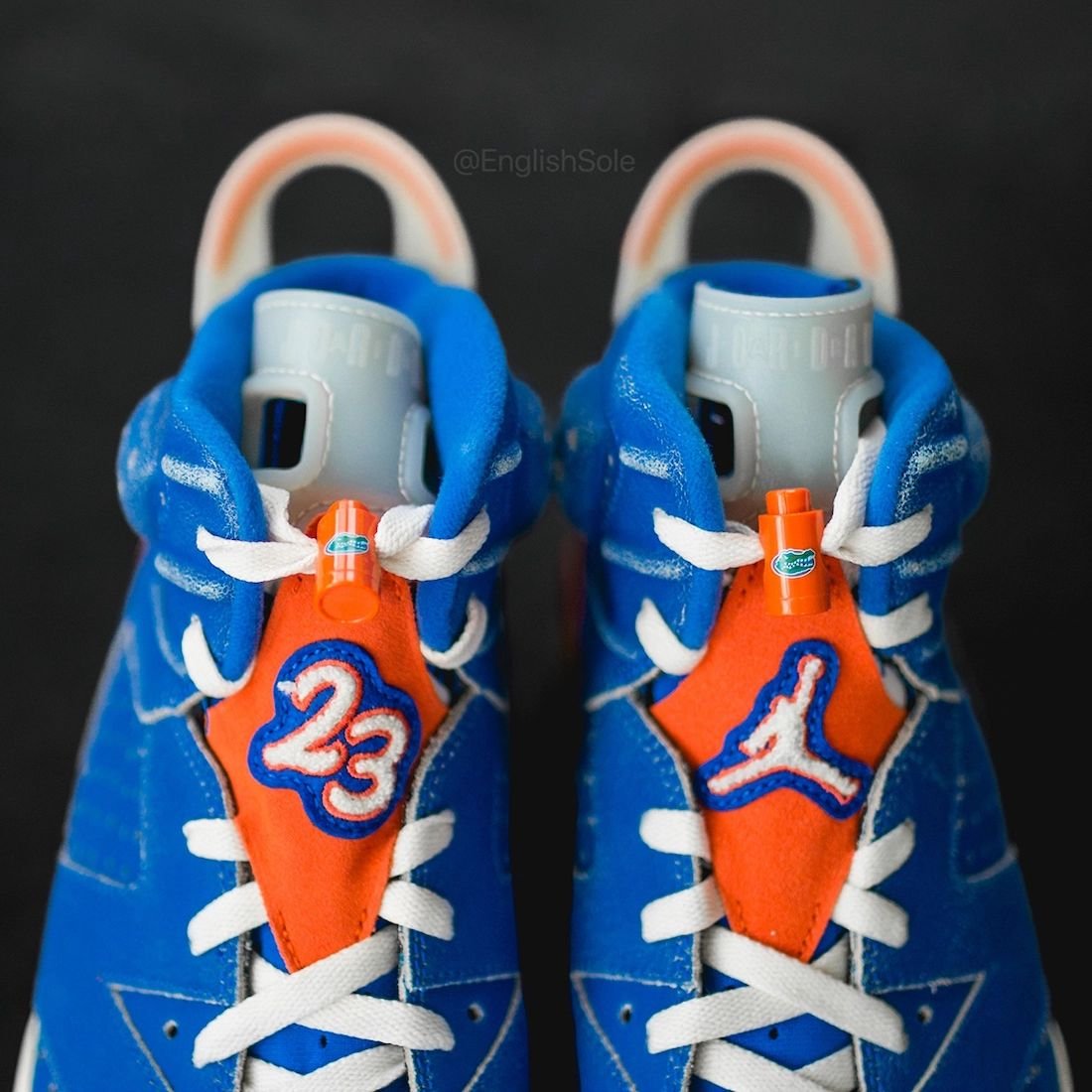 Air Jordan 6 Florida Gators 2022 PE