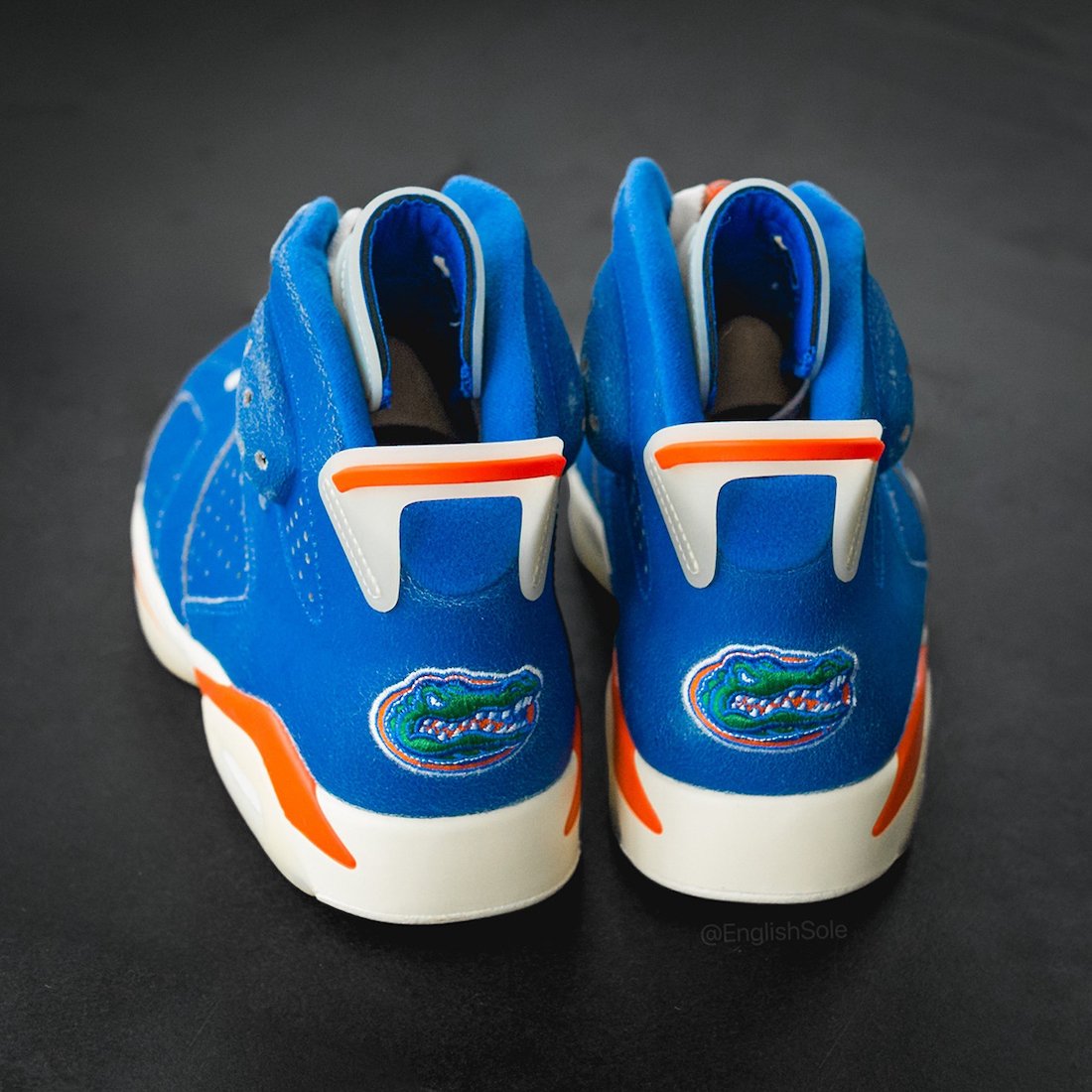 Air Jordan 6 Florida Gators 2022 PE