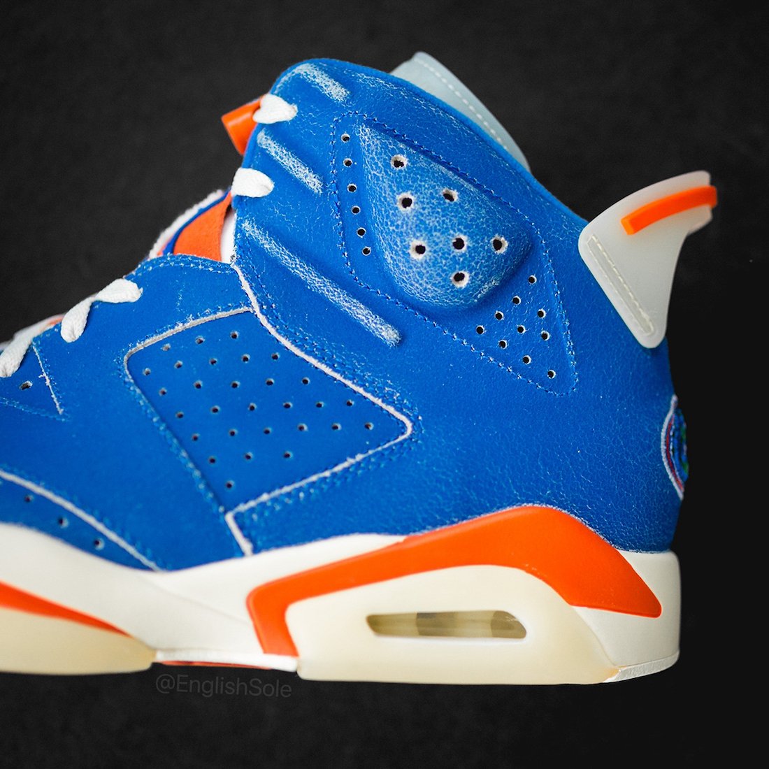 Air Jordan 6 Florida Gators 2022 PE