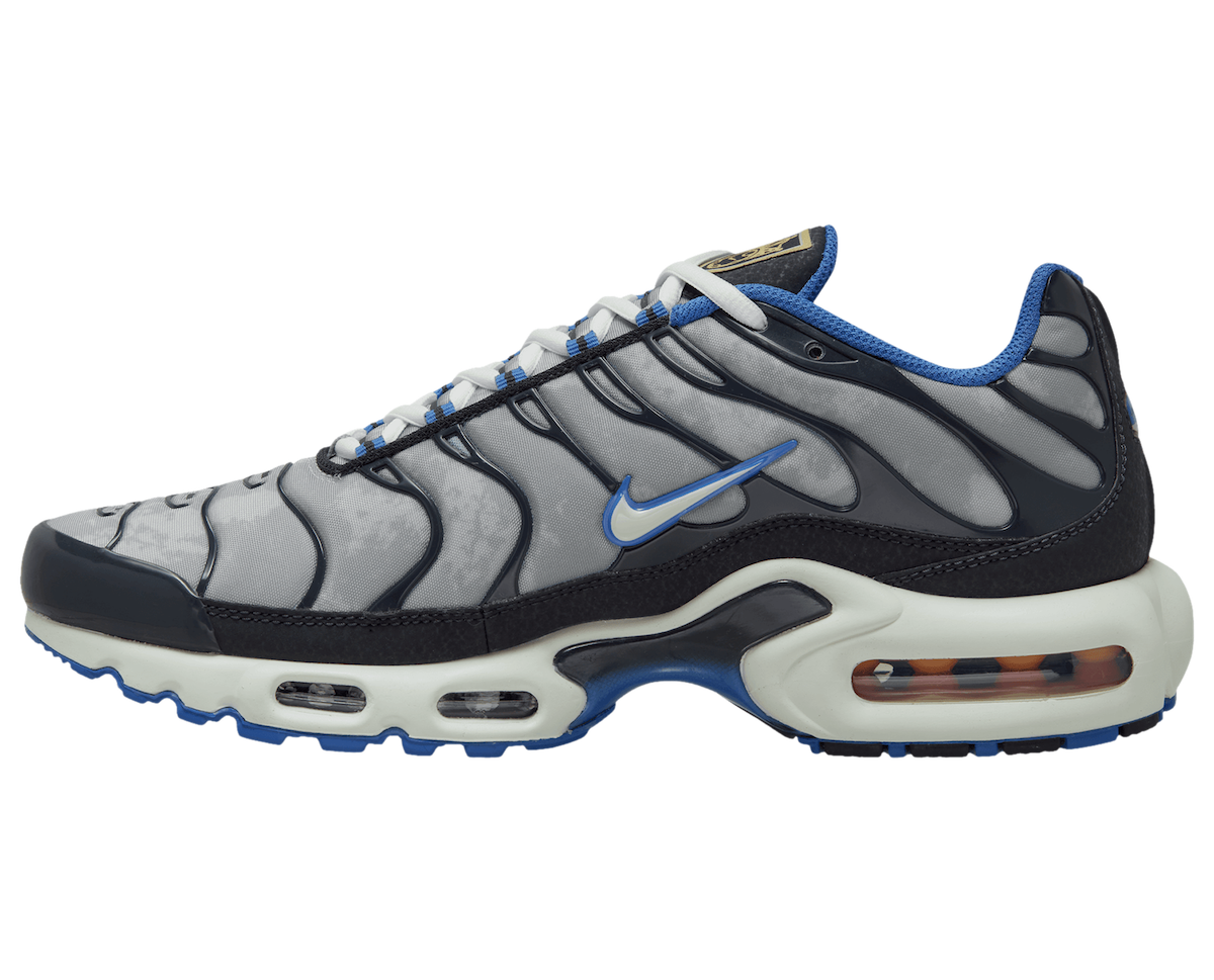 Nike Air Max Plus Soccer DQ3981-001 Release Date Info