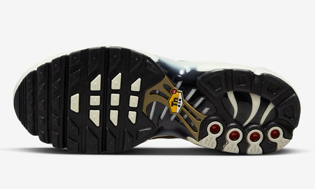 Nike Air Max Plus Leopard DX9283-100 Release Date Info