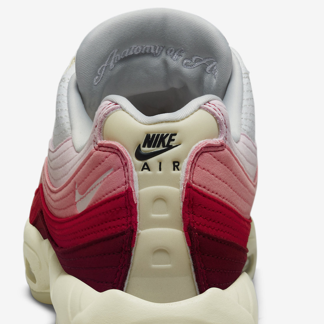 Nike Air Max 95 Anatomy of Air DM0012-600 Release Date Info