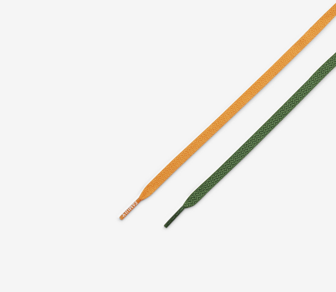 Florida AM Nike Dunk Low DR6188-800 Release Date Info