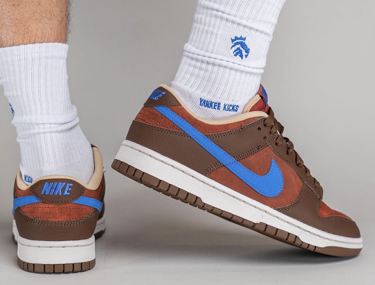 Nike Dunk Low Mars Stone Comet Blue DR9704-200 On-Feet