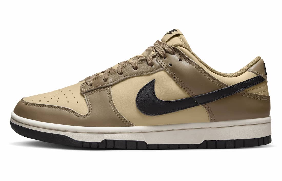 Nike Dunk Low Dark Driftwood DD1503-200 Release Date Info