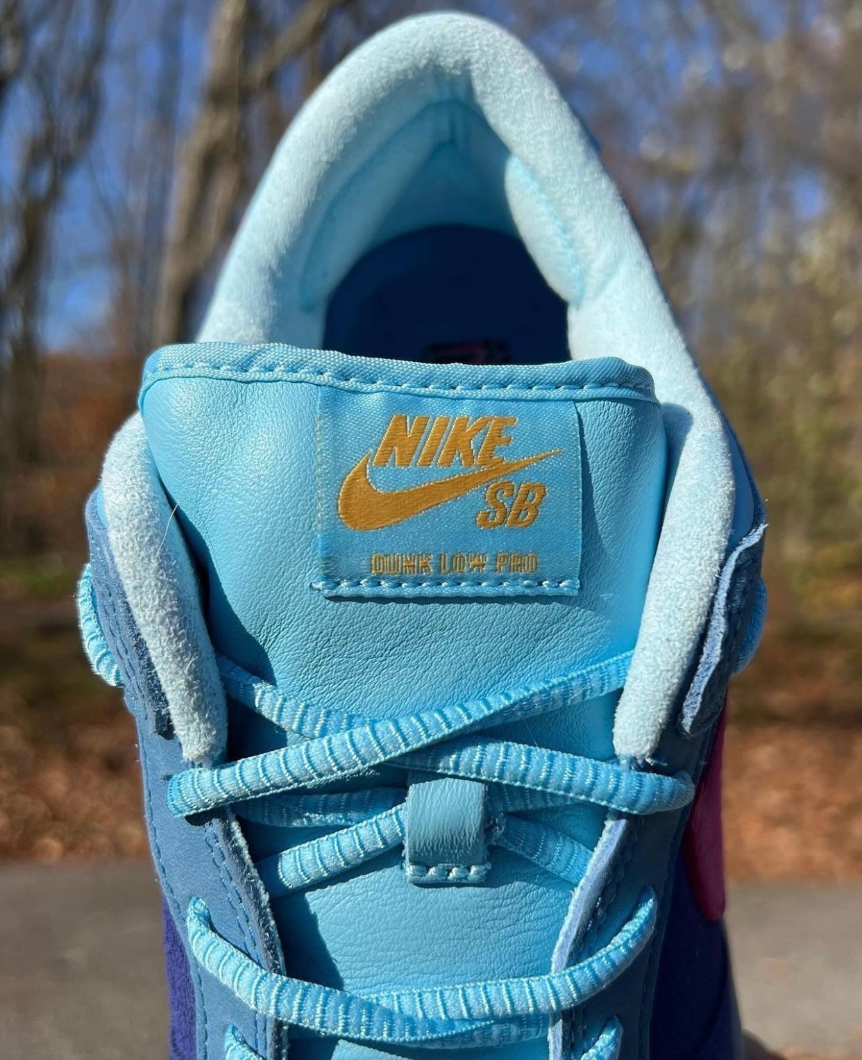 Run The Jewels Nike SB Dunk Low DO9404-400 Release Date