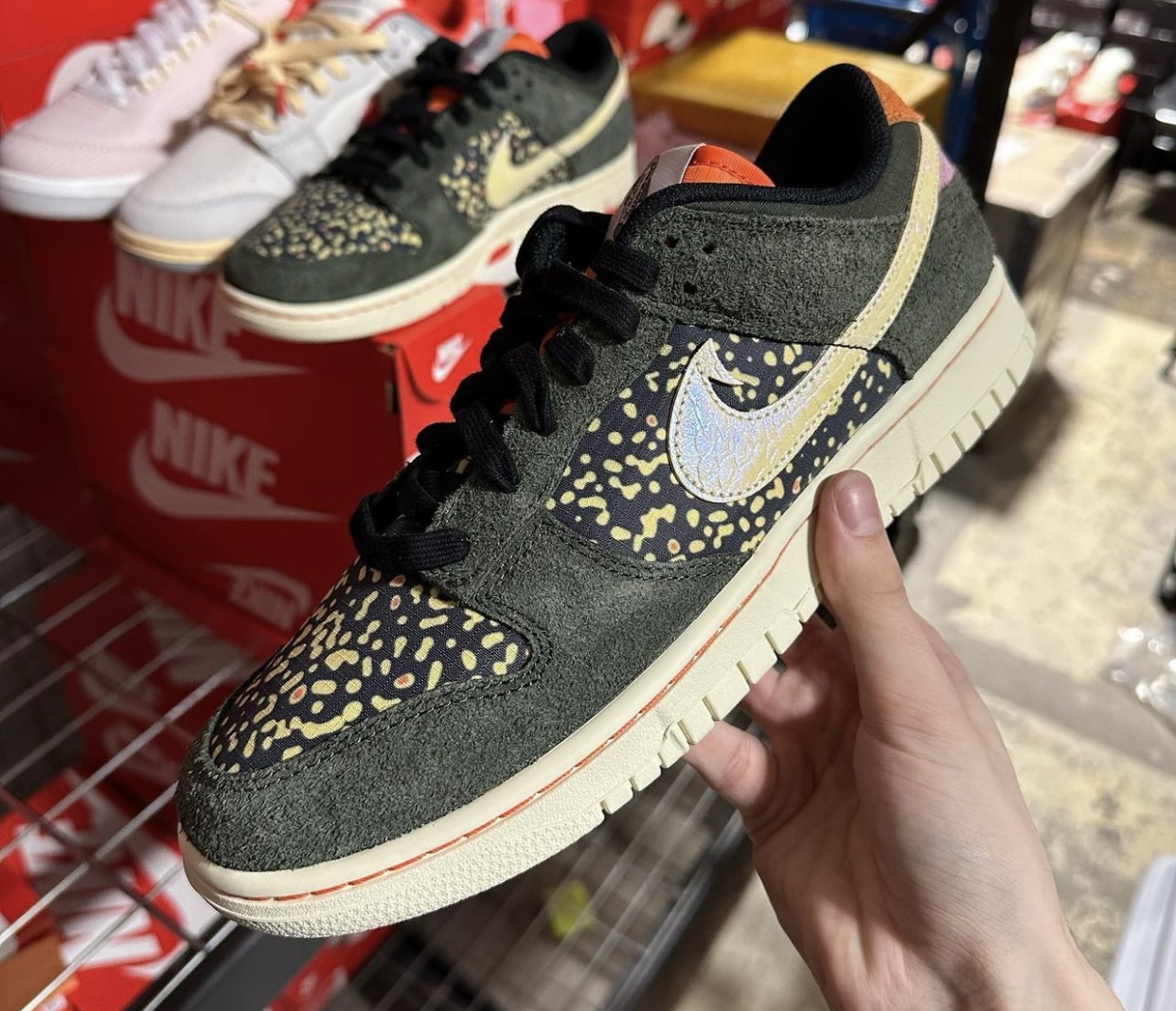 Nike Dunk Low Rainbow Trout FN7523300 Release Date + Where to Buy