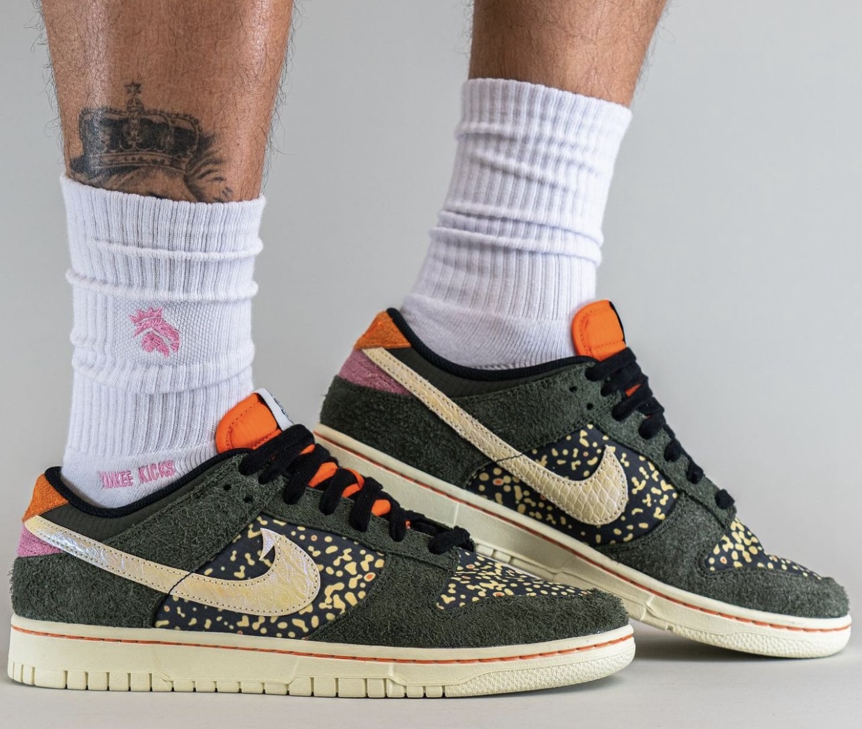 Nike Dunk Low Rainbow Trout FN7523-300 On-Feet
