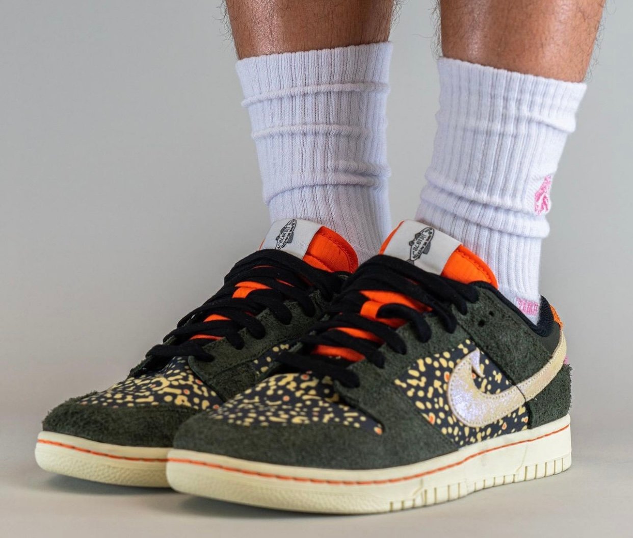 Nike Dunk Low Rainbow Trout FN7523-300 On-Feet
