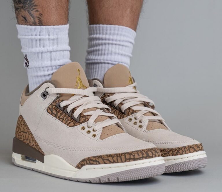 cheetah 3s jordans