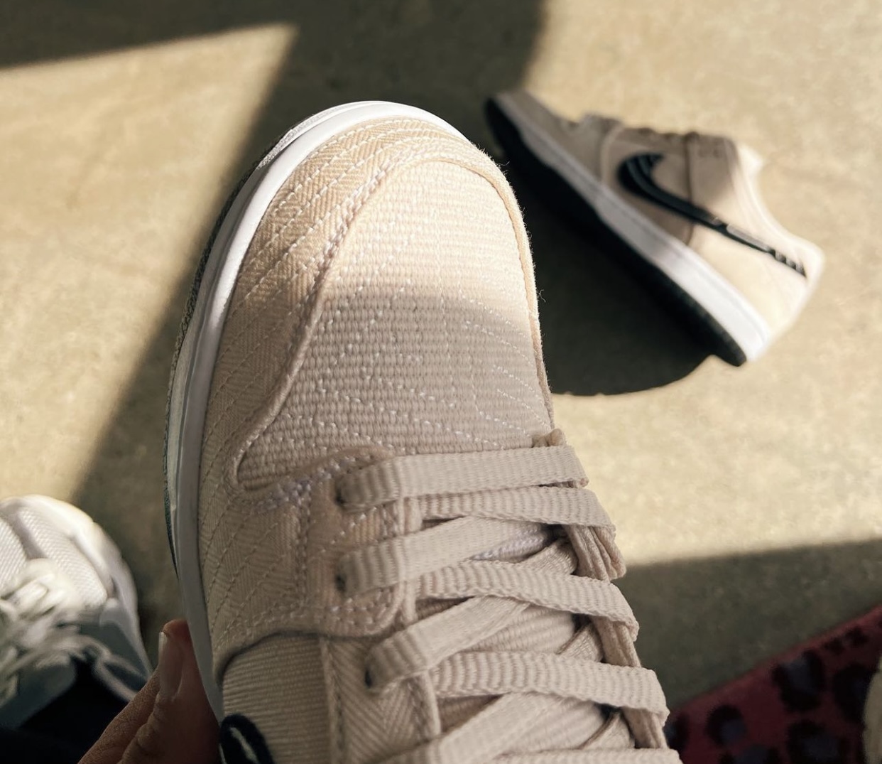 Albino Preto Nike SB Dunk Low Release Date Info