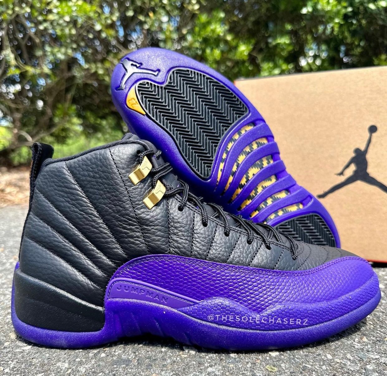 Air Jordan 12 Field Purple Lakers CT8013-057