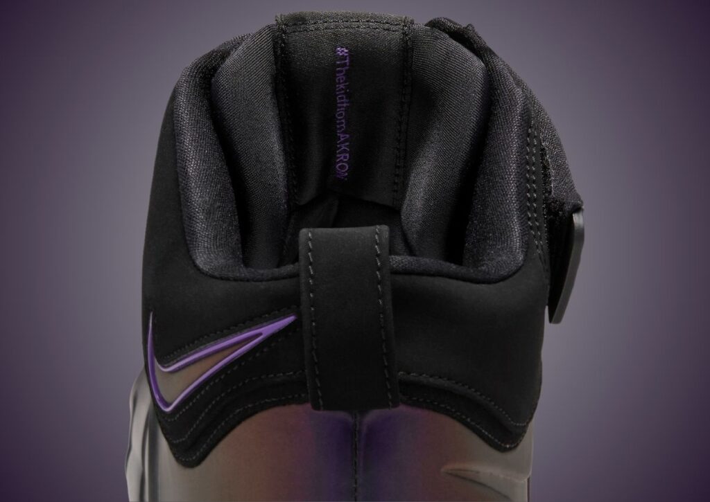 Nike LeBron 4 Eggplant Varsity Purple FN6251-001