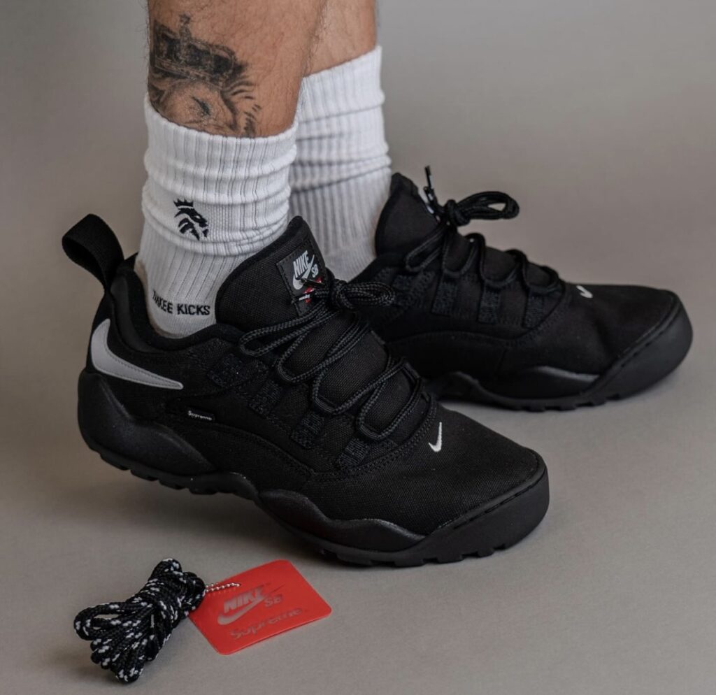 Supreme Nike SB Darwin Low Black FQ3000-001 On-Feet