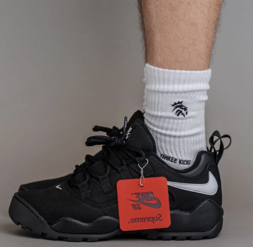 Supreme Nike SB Darwin Low Black FQ3000-001 On-Feet