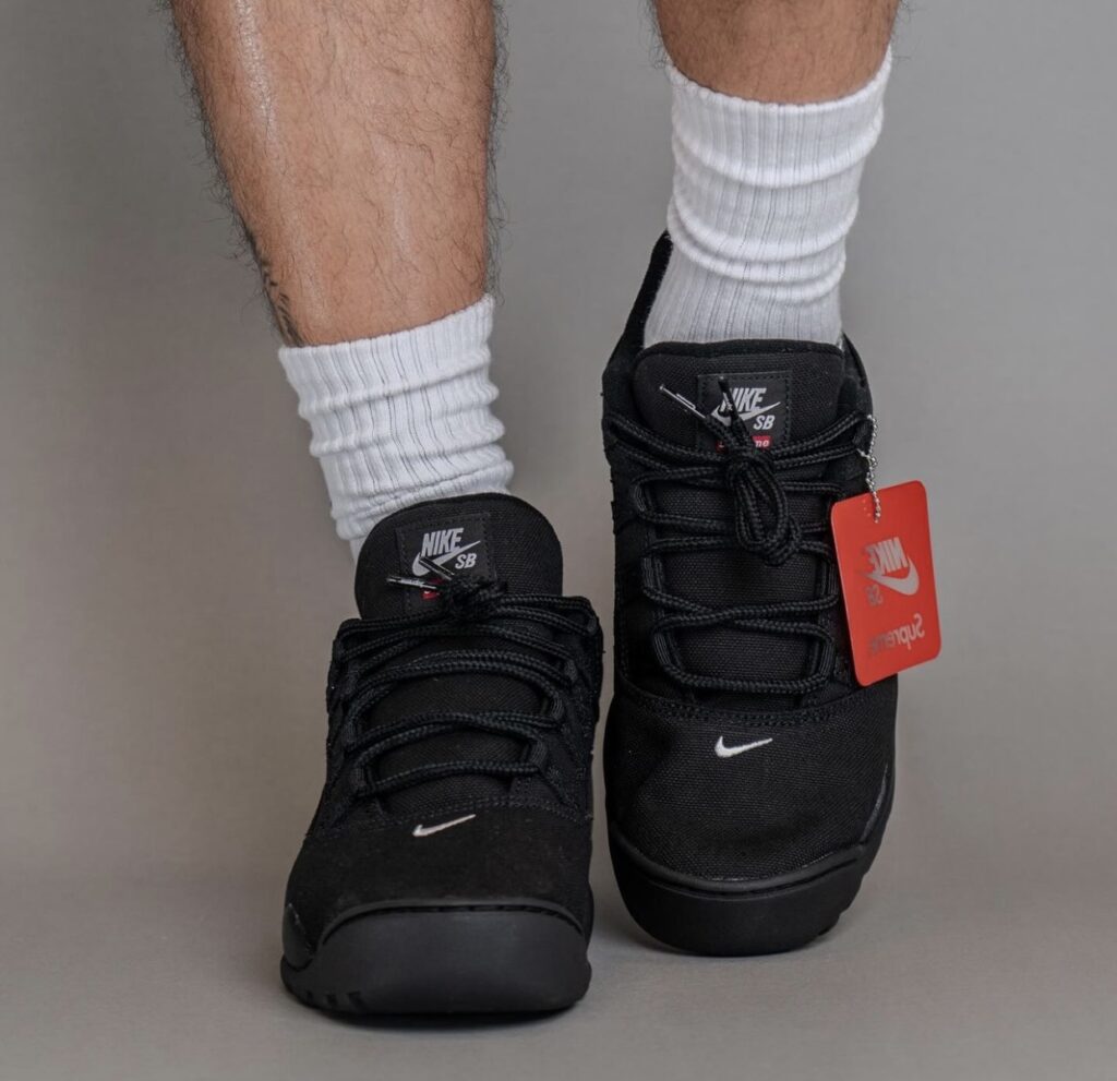 Supreme Nike SB Darwin Low Black FQ3000-001 On-Feet