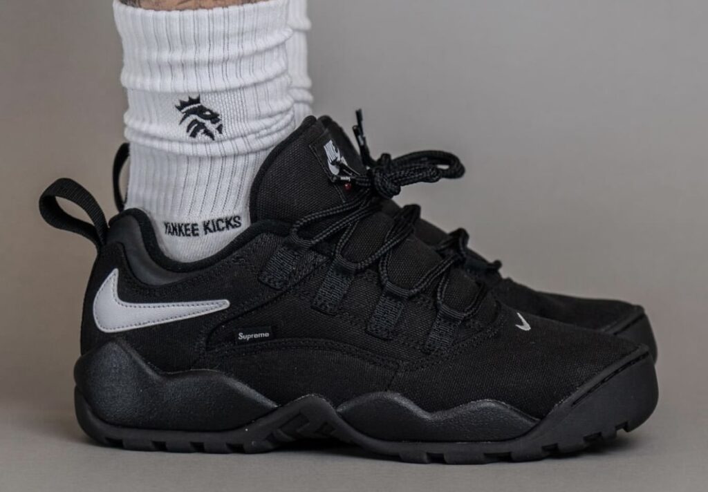 Supreme Nike SB Darwin Low Black On-Feet