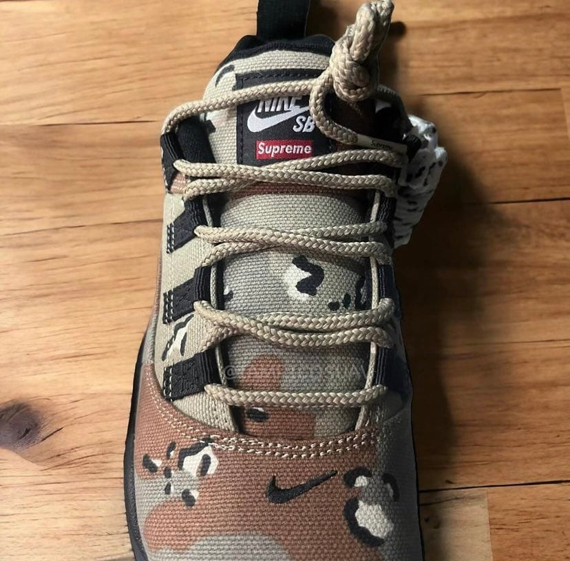 Supreme Nike SB Darwin Low Camo FQ3000-200