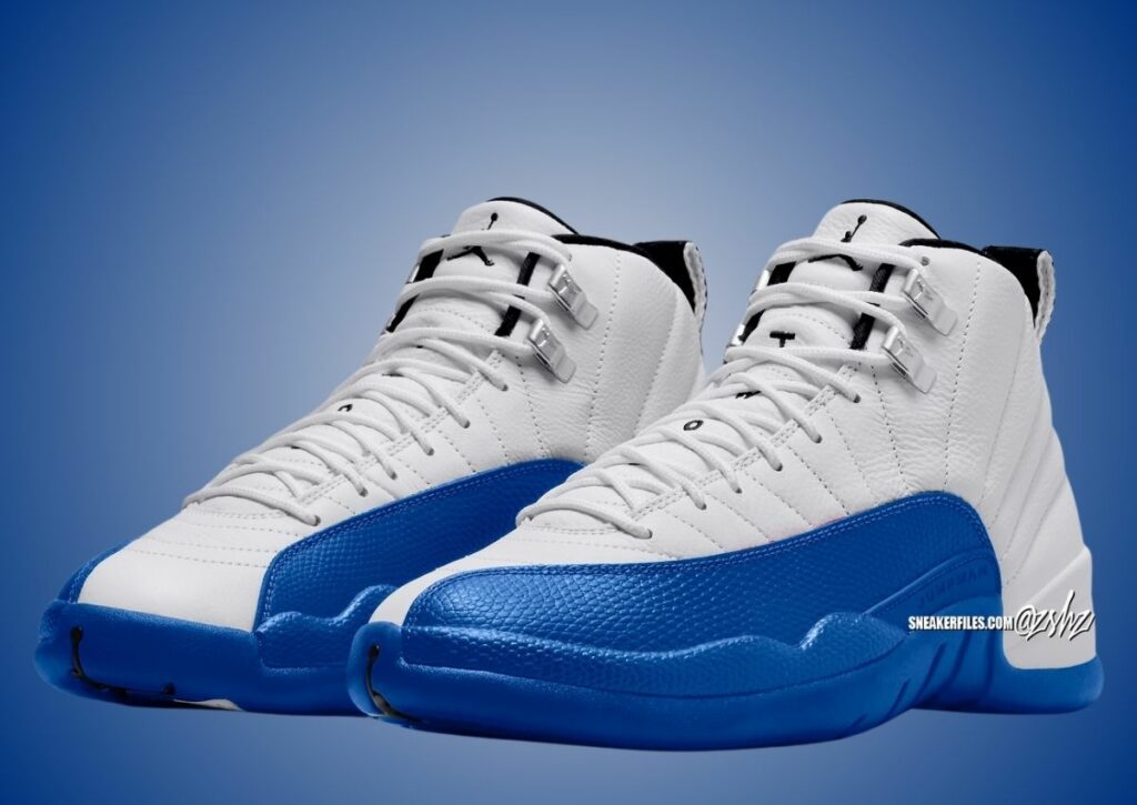 Air Jordan 12 Blueberry Game Royal CT8013-140