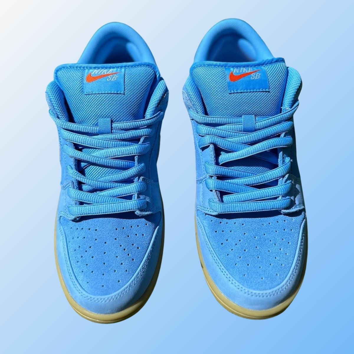 university blue nike sb